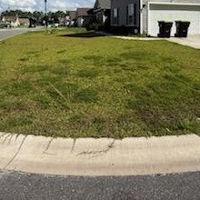 Initial-Cleanup-Service-in-Conway-South-Carolina 10
